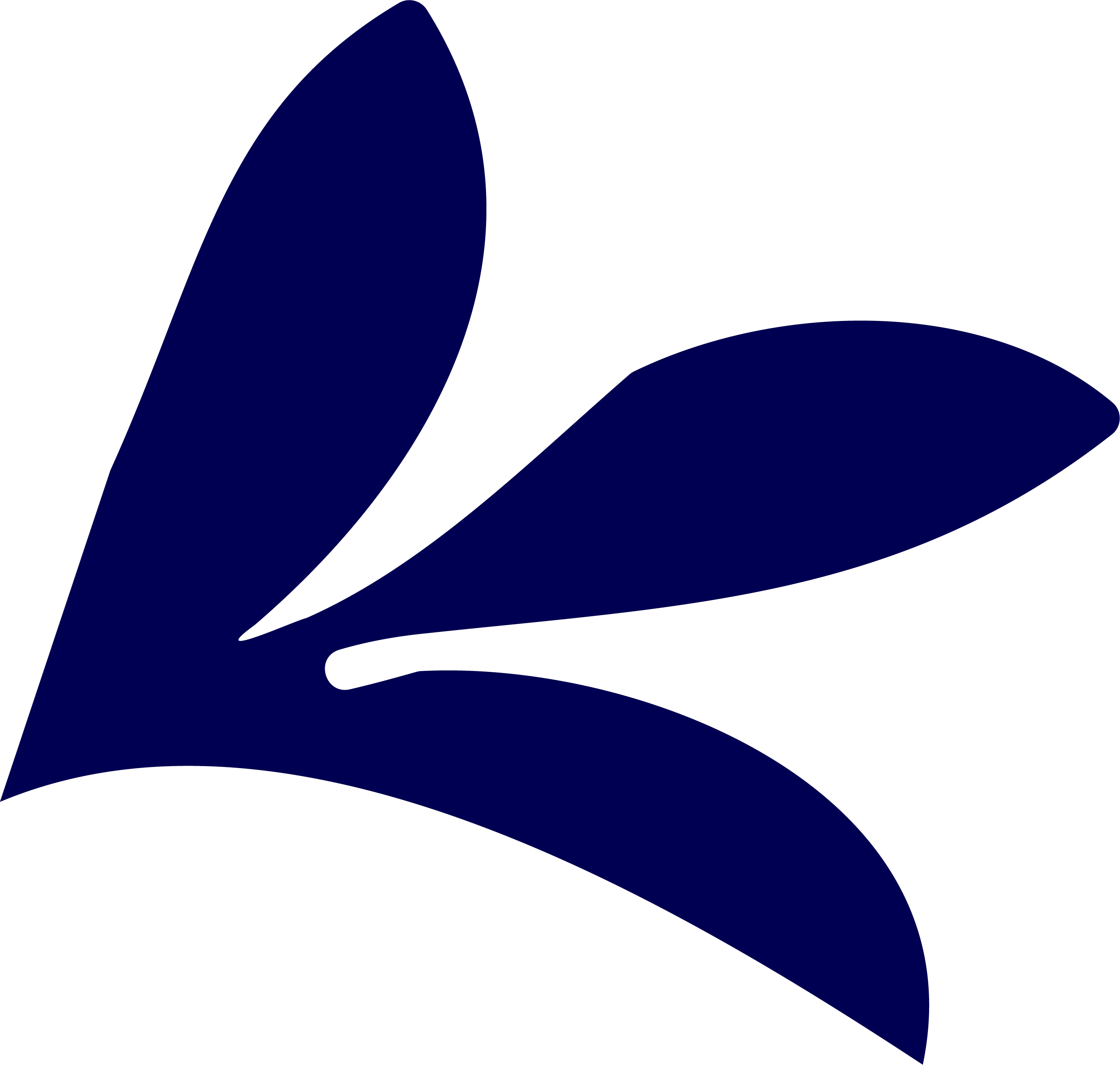 Flora de la región